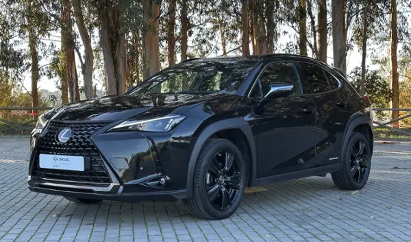 UX 250h